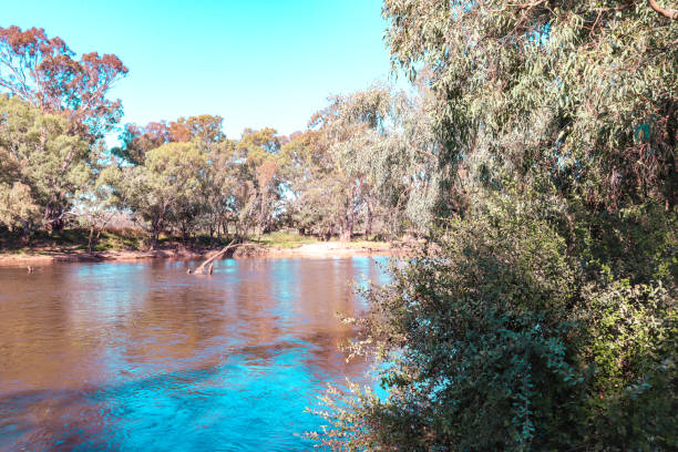 Cruising the Murray River in the Port Area, Northern Country