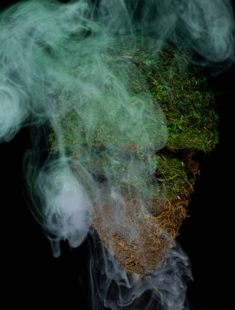 Creepy moss covered mask helmet and glasses with dramatic lighting and smoke created and handmade by photographer Thailand Asia