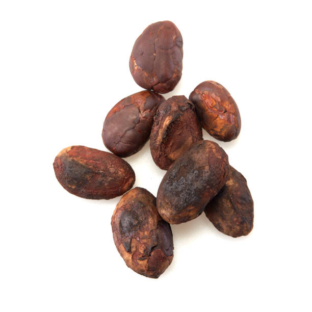istock Unpeeled cocoa bean isolated on white background 2034405733