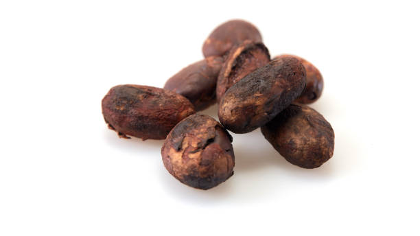 istock Unpeeled cocoa bean isolated on white background 2034405735