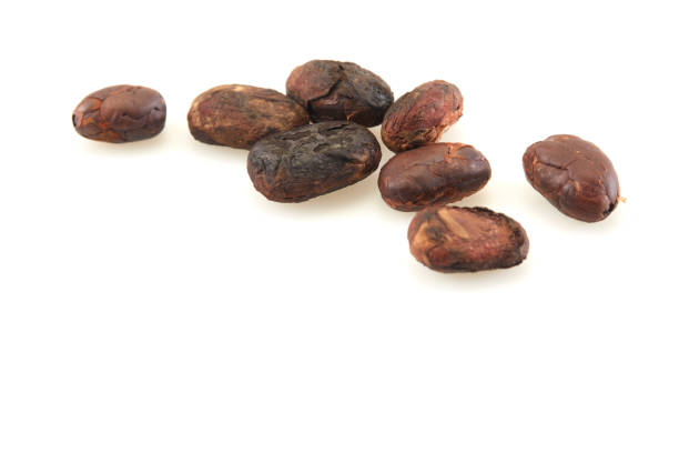 Close-up Unpeeled cocoa bean isolated on a white background