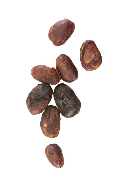 istock Unpeeled cocoa bean isolated on white background 2034405745