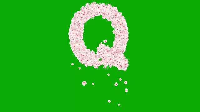 English alphabet Q with cherry flowers on green screen background