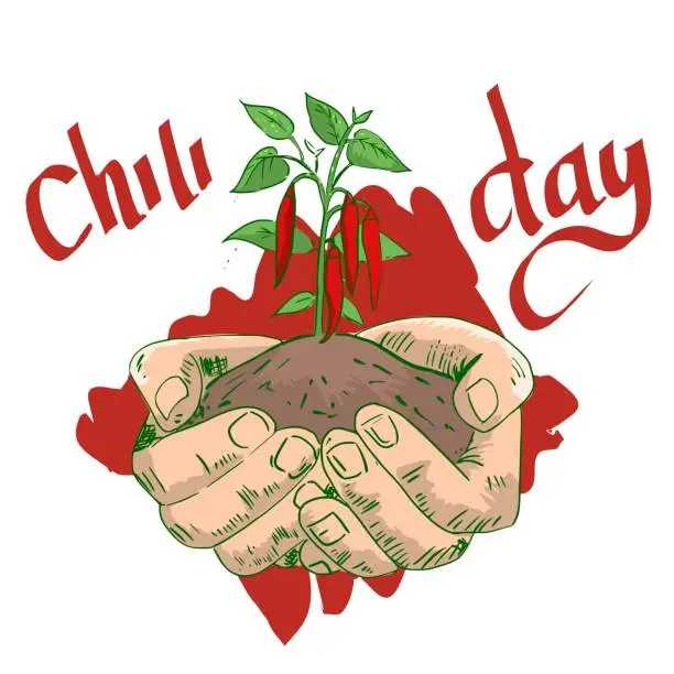 Vector illustration of hand holding a chili plant, world national chili day
