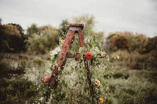 Antique ladder with flowers and overgrown greenery