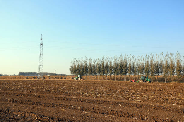 LUANNAN COUNTY, China - October 20, 2021: farmers use planters to grow wheat in North China