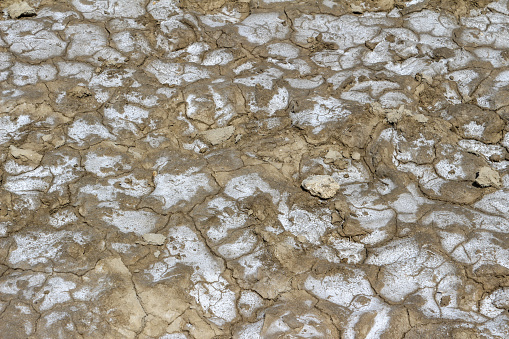 Salted cracked soil in Camargue, Provence, France.