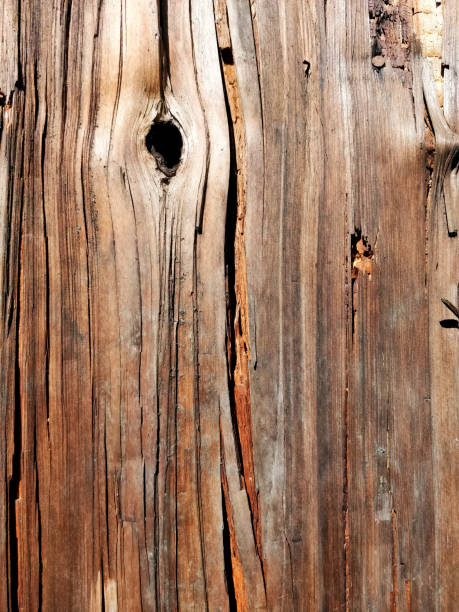 茶色がかった古い木製パネル - wood grain plywood wood textured ストックフォトと画像