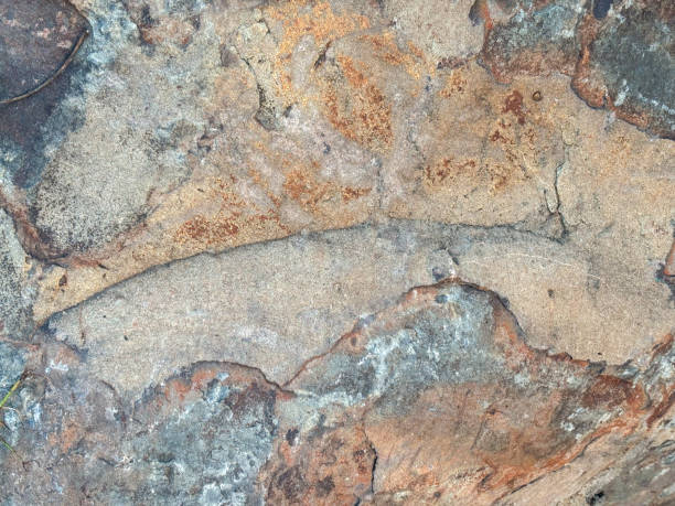 istock Close-up texture of a rustic brown stone surface with natural patterns and details, suitable for background or wallpaper. 2034520656