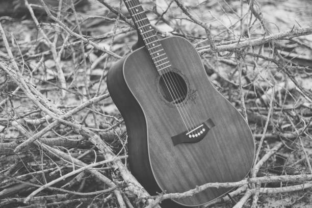 istock acoustic guitar close up 2034536769