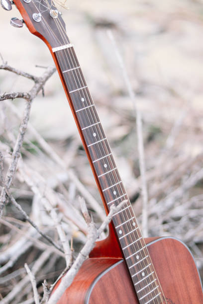 acoustic guitar close up