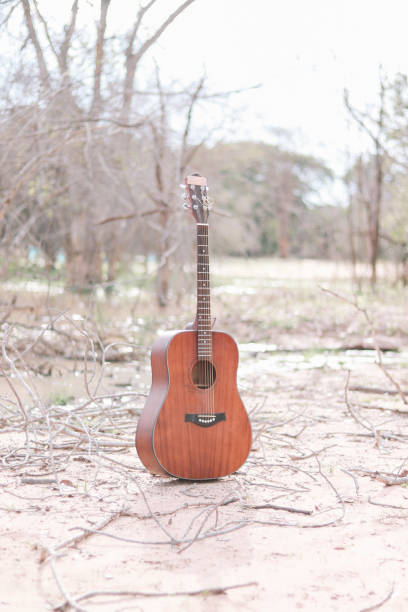 istock acoustic guitar close up 2034542997