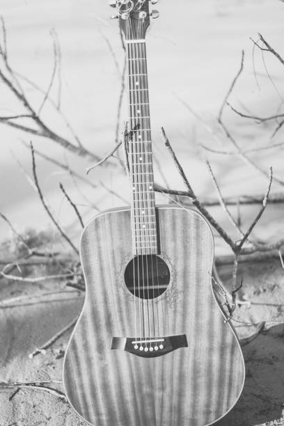 acoustic guitar close up