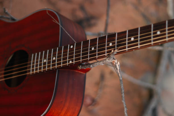 acoustic guitar close up