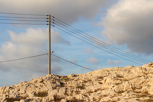Wooden electric pylon and electric wires in the Calanques of Marseille, Les Goudes, France. Limestone rocks.