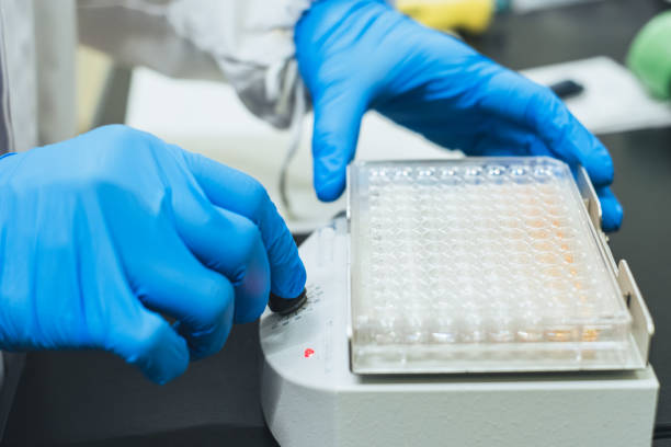 istock Scientist Using Micropipette to Transfer Samples into Eppendorf Tube in the Laboratory 2034651625