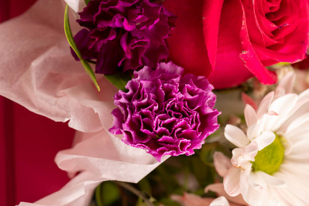 a bouquet of mixed flowers in close-up, a gift bouquet of flowers for congratulations