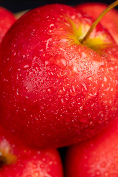 istock clean wet red apples , close-up 2034691757