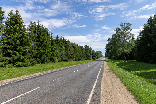narrow paved road in summer, paved road in sunny weather