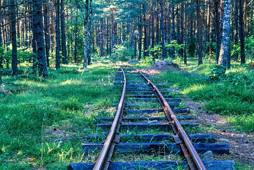 Railroad track in the forest in summer