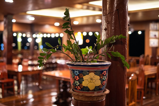 Tree on flower pot decorated inside wooden restaurant with light up at night.