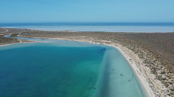 Drone photo of Little Lagoon near Denham in Western Australia, which is the westernmost publicly accessible town in Australia. It is located in the Shark Bay (Malgana: Gathaagudu) World Heritage Site in the Gascoyne region