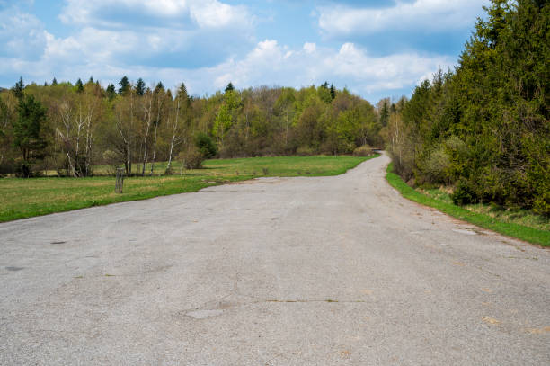 istock Asphalt road in forest with meadow. 2034769062