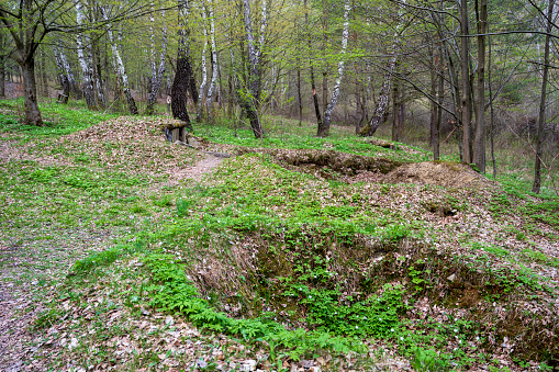 Old world war second wooden bunker underground in the forest.