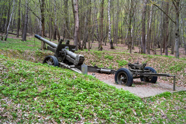 istock Cannon from the Second World War in forest on concrete base. 2034771797