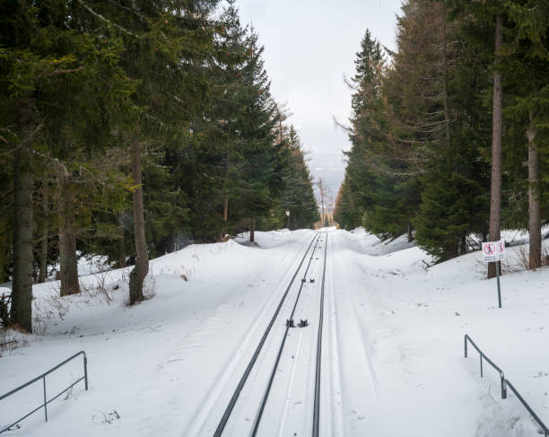 istock Rails covered with snow in dense coniferous forest on hill. 2034773453
