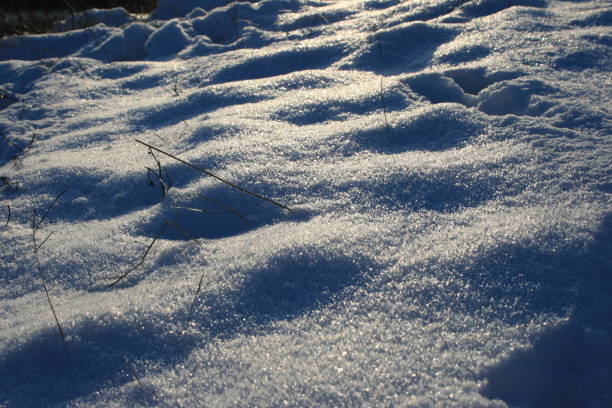 Photo taken in Asahikawa, Japan