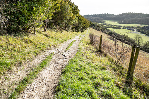 Pewley Down countryside footpath Surrey England Europe