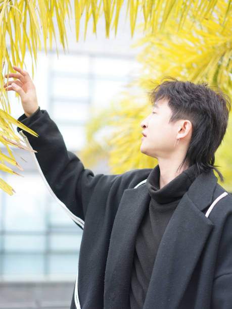 istock Asian man touching leaves with hands 2034799114