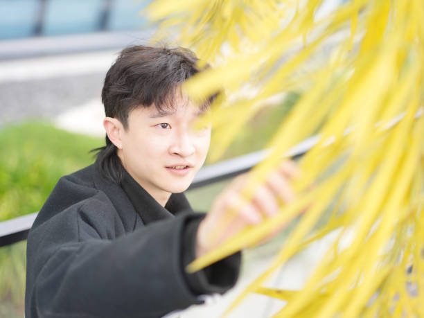 istock Asian man touching leaves with hands 2034799117