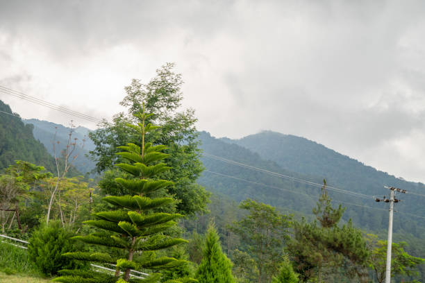 istock Landscape garden and mountain Bandungan Semarang Central Java. 2034800174