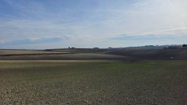 weitläufige landwirtschaftliche felder unter klarem blauem himmel mit fernem horizont - sky blue grass green stock-fotos und bilder