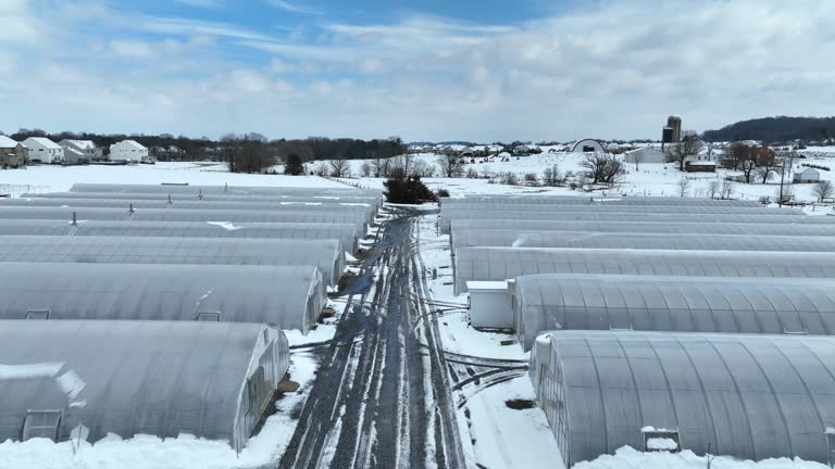 Aerial flyover of industrial greenhouses on a sunny day. Snow-covered ground in agricultural complex.