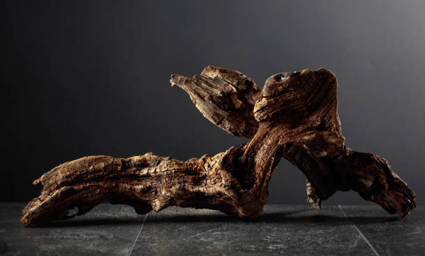 istock Old dry wooden snag on a black stone table. 2034874954