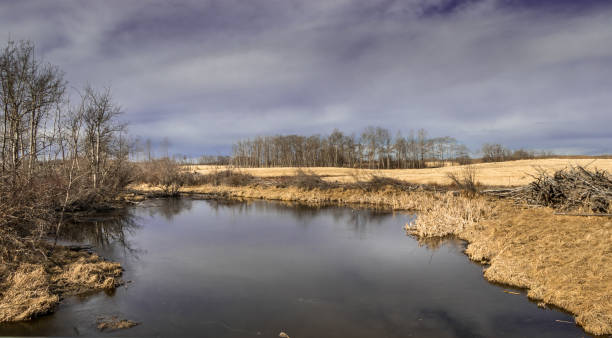 istock Ponds in the field Red Deer County Alberta Canada 2034879675