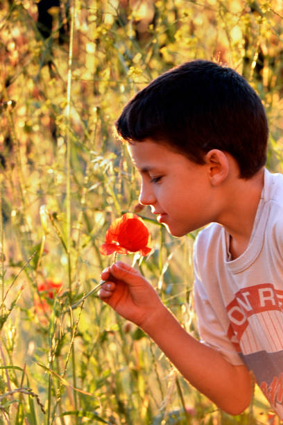 Smiling little boy in nature with a daisy flower in straw hat and yellow t-shirt. sunny summer, happy days, childhood