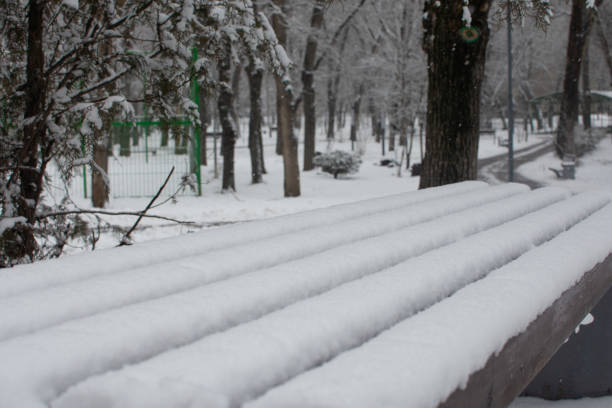 snowfall in the city park