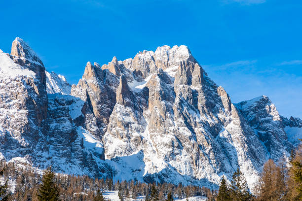 istock A magnificent day in the nature 2034909688