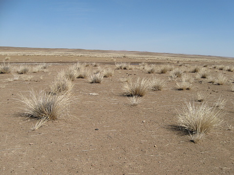 A lonely semi-desert region in Dornogovi province, Gobi desert, South Mongolia. The surrounding desert is so solitary and so windy. It is so cold in the long winter months. There are only several nomadic families living out there and moving out to other deserts four times a year.
