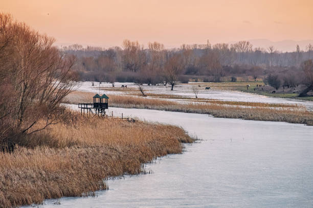 A wooden tower provides an elevated vantage point for birdwatching enthusiasts to observe wildlife in their natural habitat.