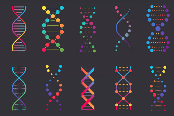 dna icons set - dna helix helix model evolution stock-grafiken, -clipart, -cartoons und -symbole