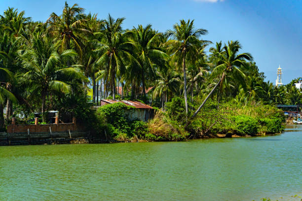 istock Houses on the river bank. 2034970744