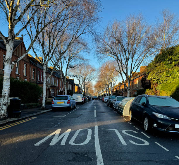 Tree lined urban road on a sunny winter's morning