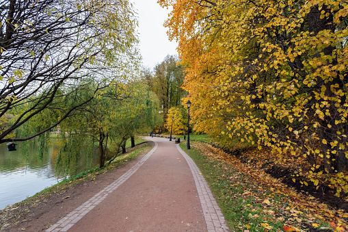 Walking path in the autumn park along the lake