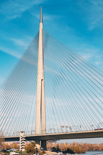 A modern marvel of engineering, the suspension bridge spans the river against a backdrop of clear blue skies, showcasing intricate cable and steel architecture