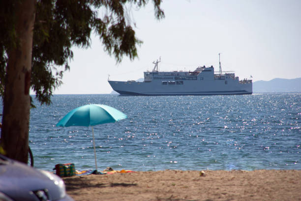 view of the branches of a eucalyptus against the sea and a ferry from Corfù